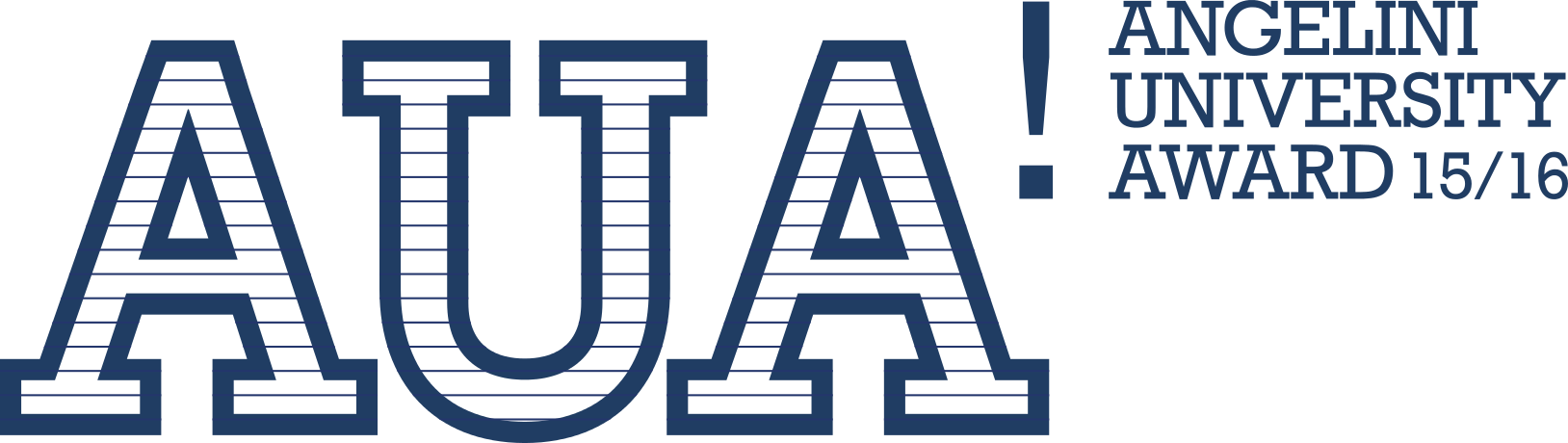 Angelini University Award